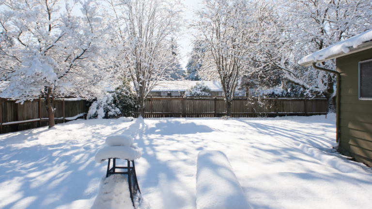 winter